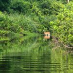 1st Place: “Water Crossing” by John Williams
