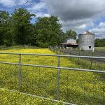 “Barn, Bin & Beauty” by Melanie Berg